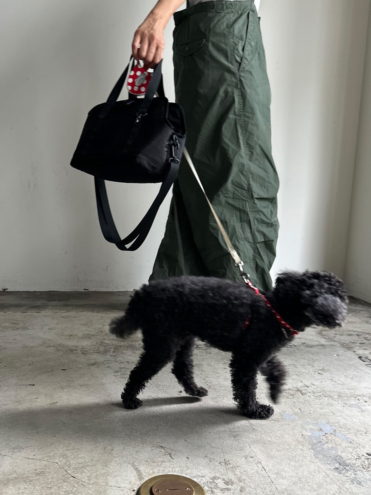 OSANPO TOTE - CARRY THINGS