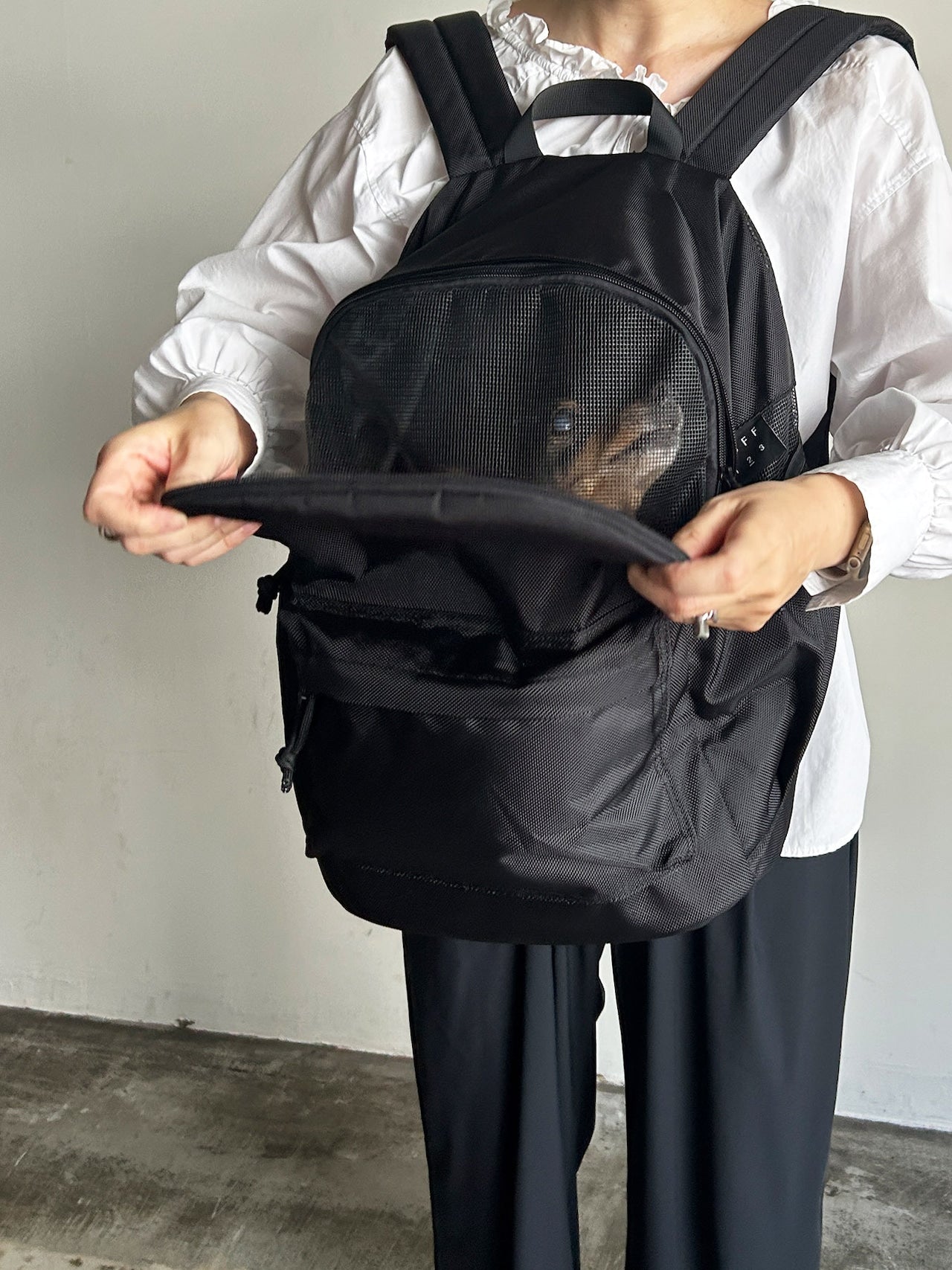 PET CARRY BACKPACK - CARRY THINGS