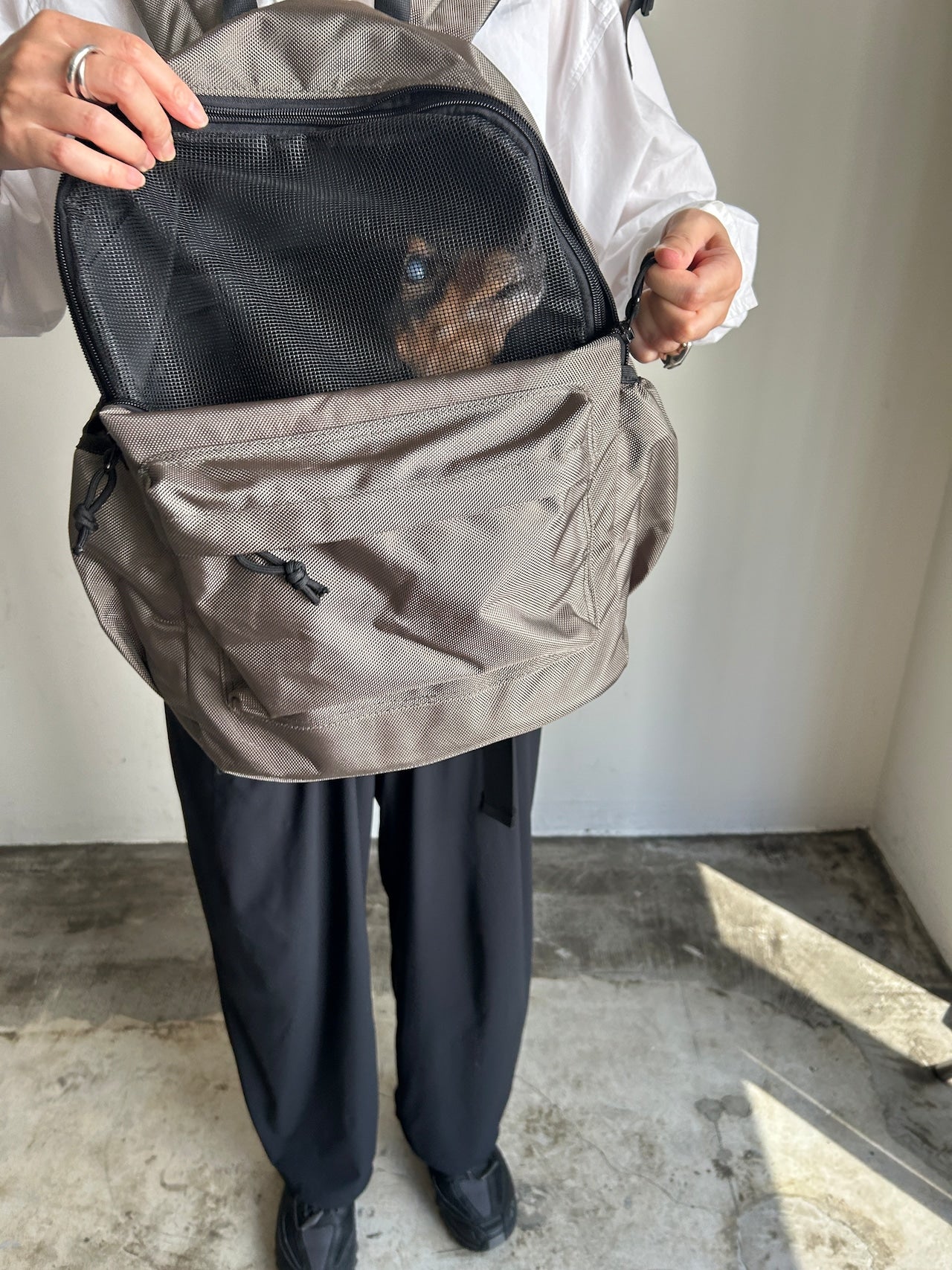 PET CARRY BACKPACK - CARRY THINGS