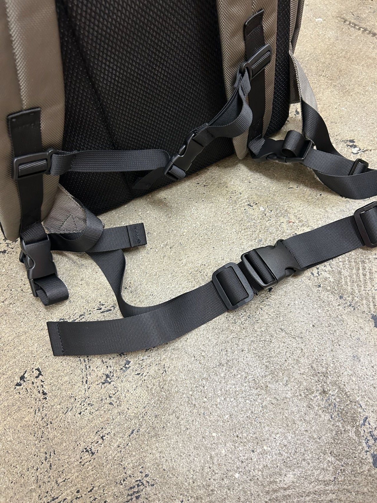 PET CARRY BACKPACK - CARRY THINGS