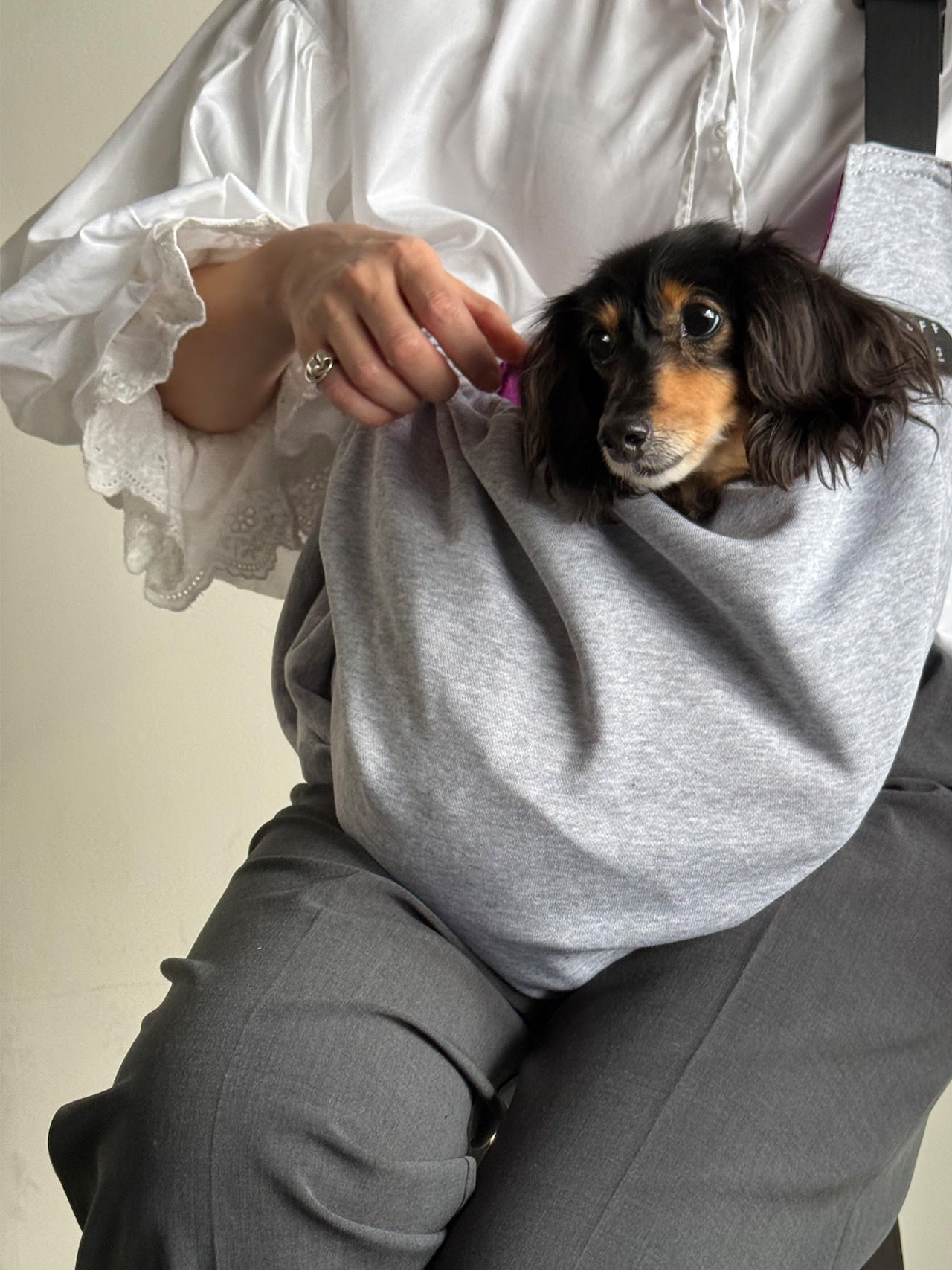 PET REVERSIBLE SLING - CARRY THINGS