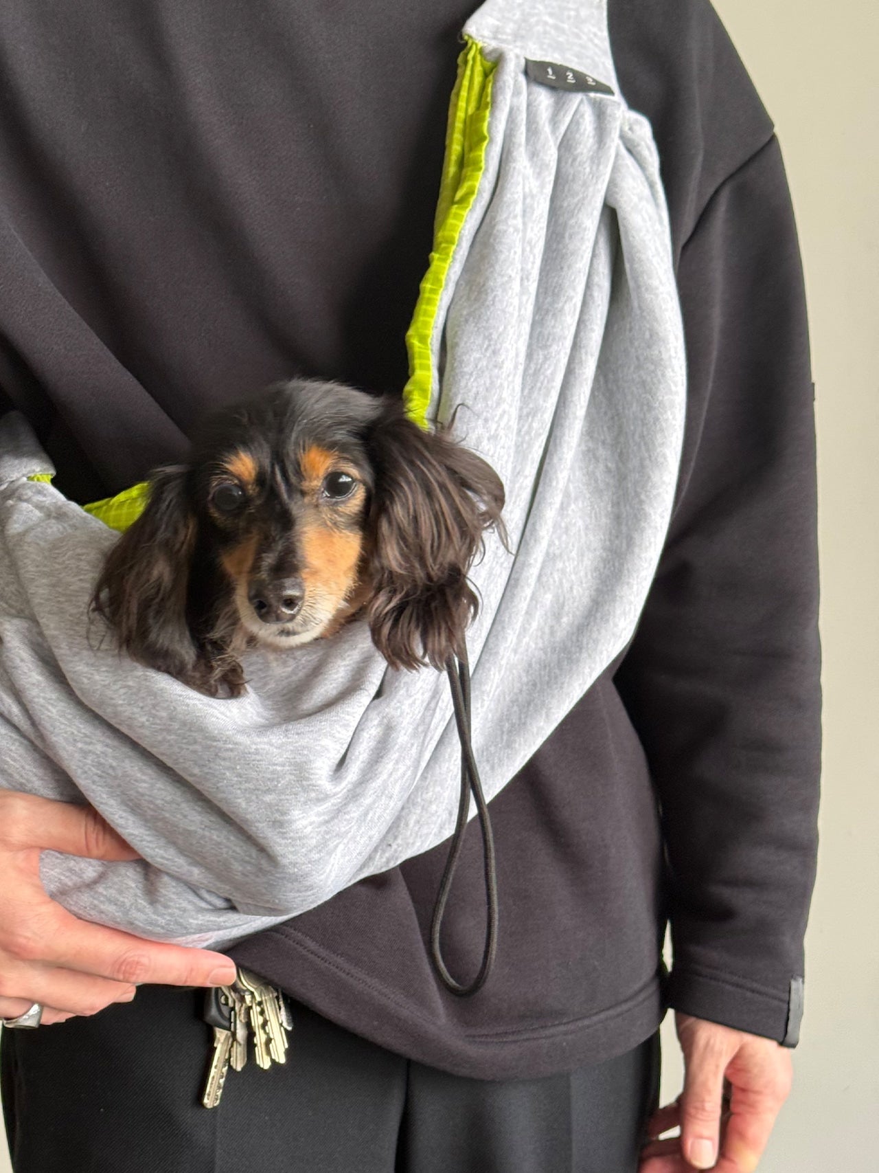 PET REVERSIBLE SLING - CARRY THINGS