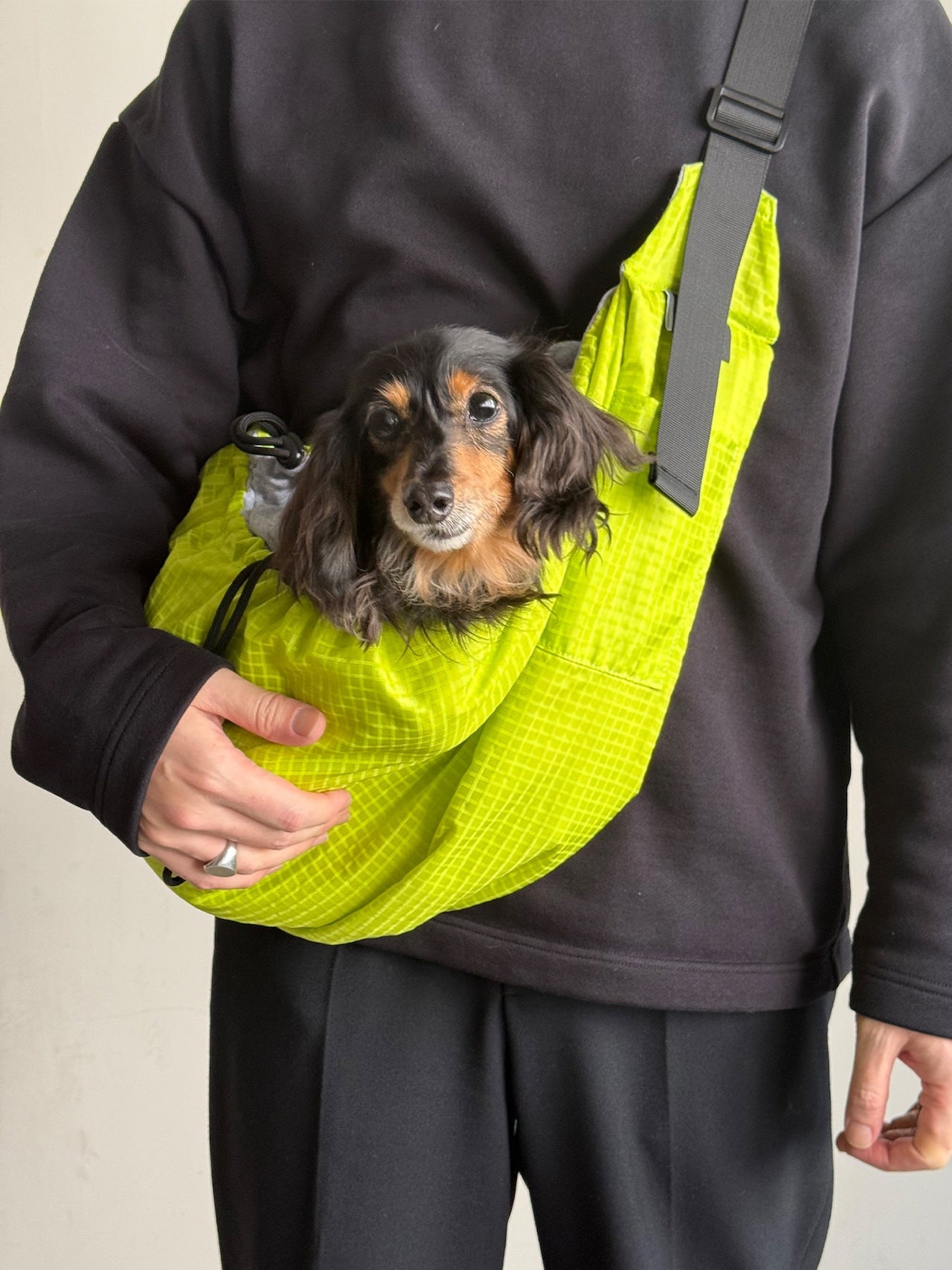 PET REVERSIBLE SLING - CARRY THINGS