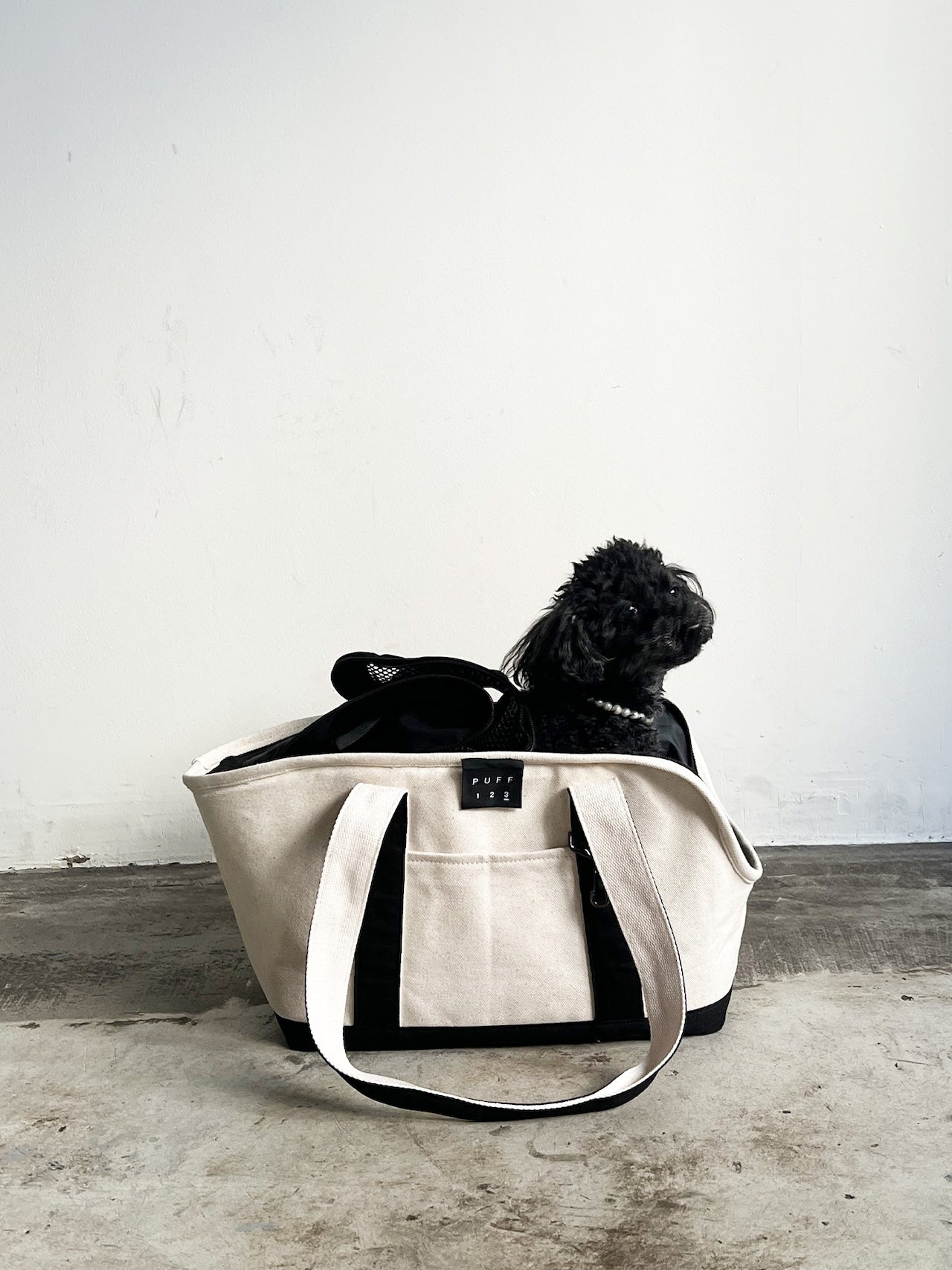 Pet Carrier Canvas Tote L - CARRY THINGS