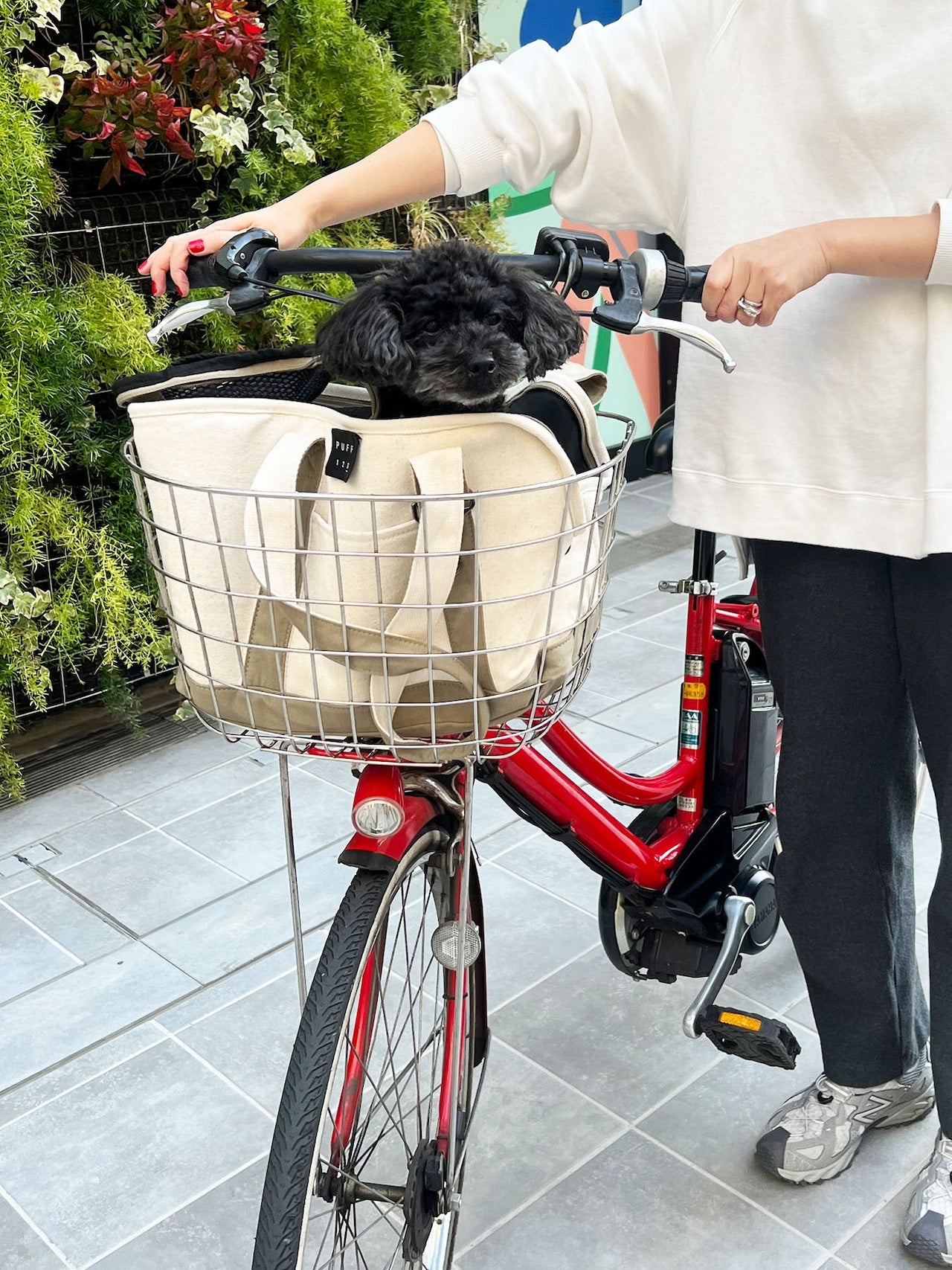 Pet Carrier Canvas Tote L - CARRY THINGS