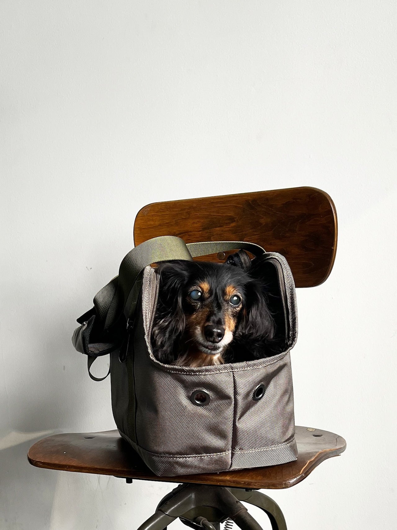 Pet Carrier Tote M - CARRY THINGS