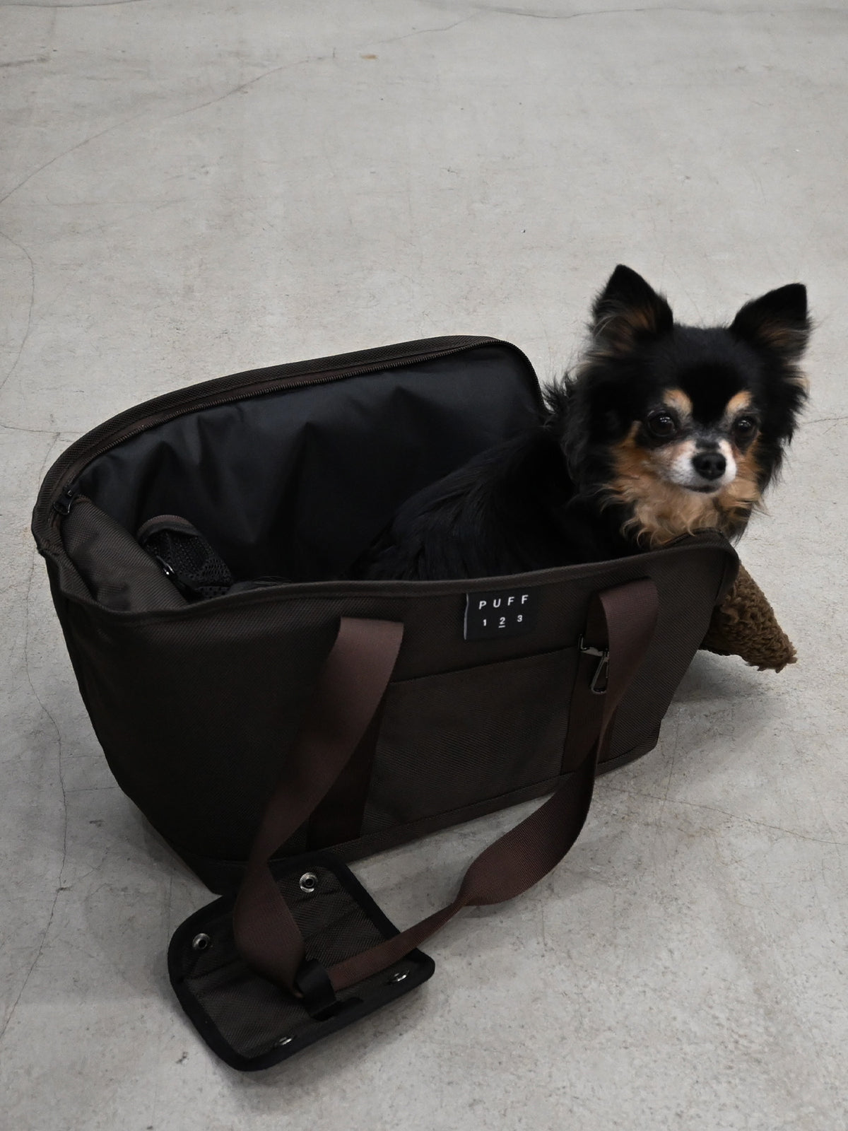 Pet Carrier Tote M - BROWN