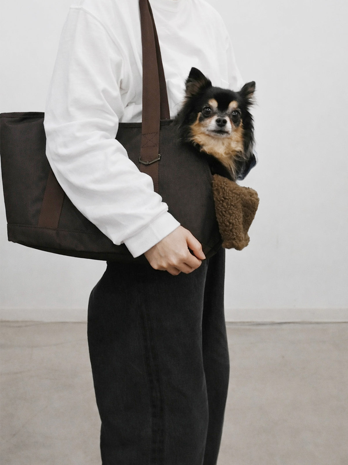 Pet Carrier Tote M - BROWN