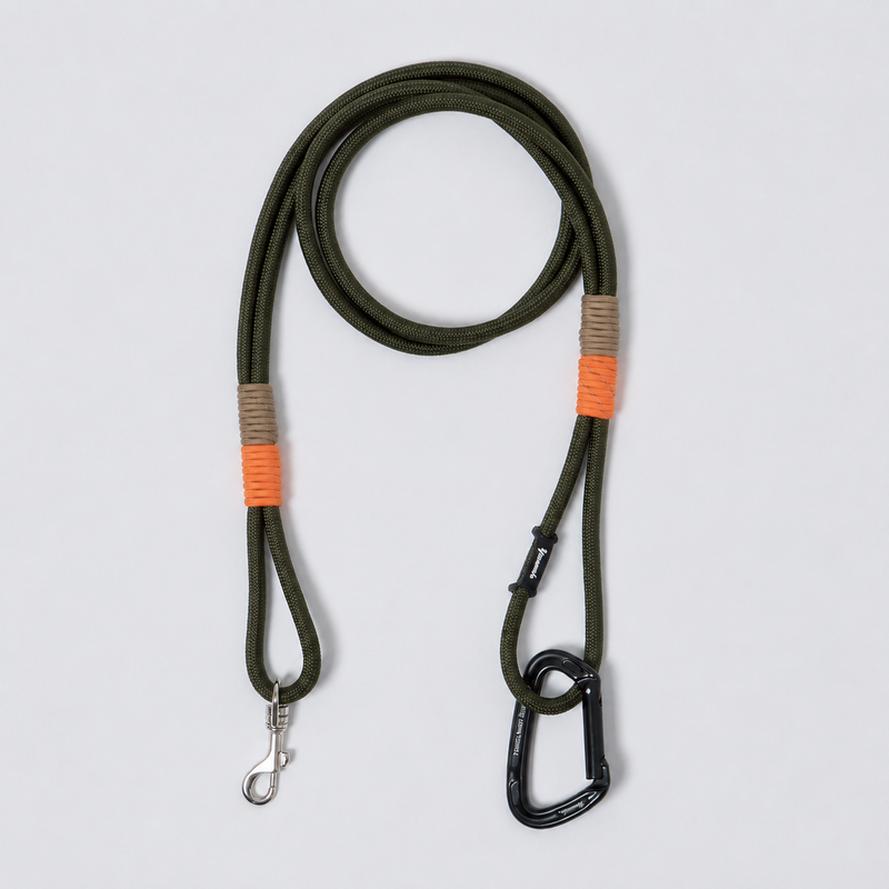 DOG LEAD