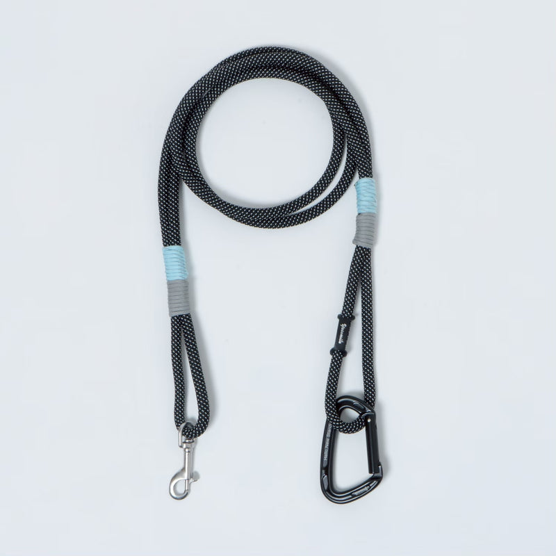 DOG LEAD