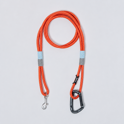 DOG LEAD - CARRY THINGS