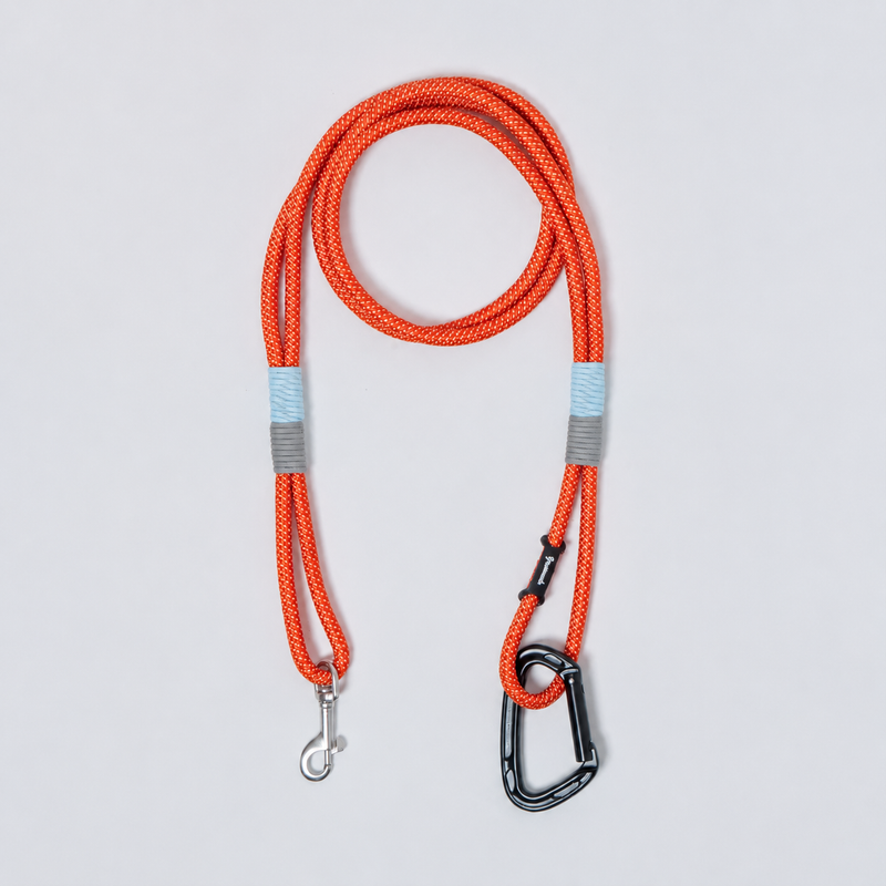 DOG LEAD