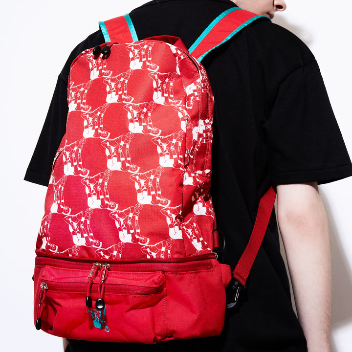 ROMERO SPECIAL 2way Bag - CARRY THINGS