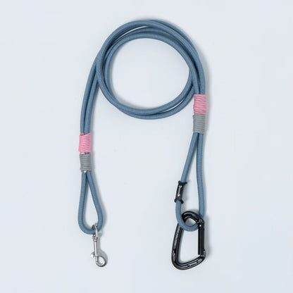 DOG LEAD - CARRY THINGS