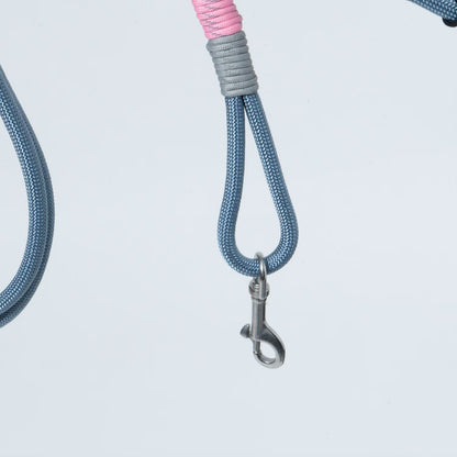 DOG LEAD - CARRY THINGS