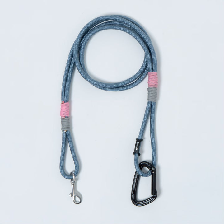 DOG LEAD - CARRY THINGS