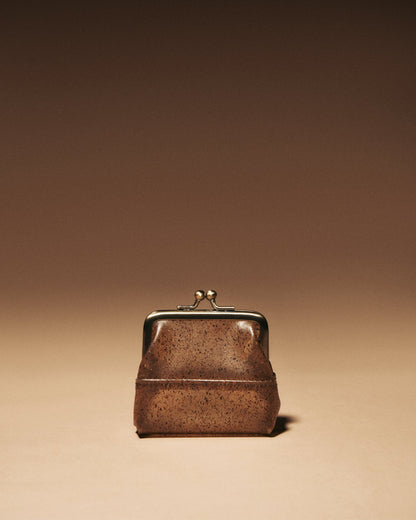 Adam Coin Case