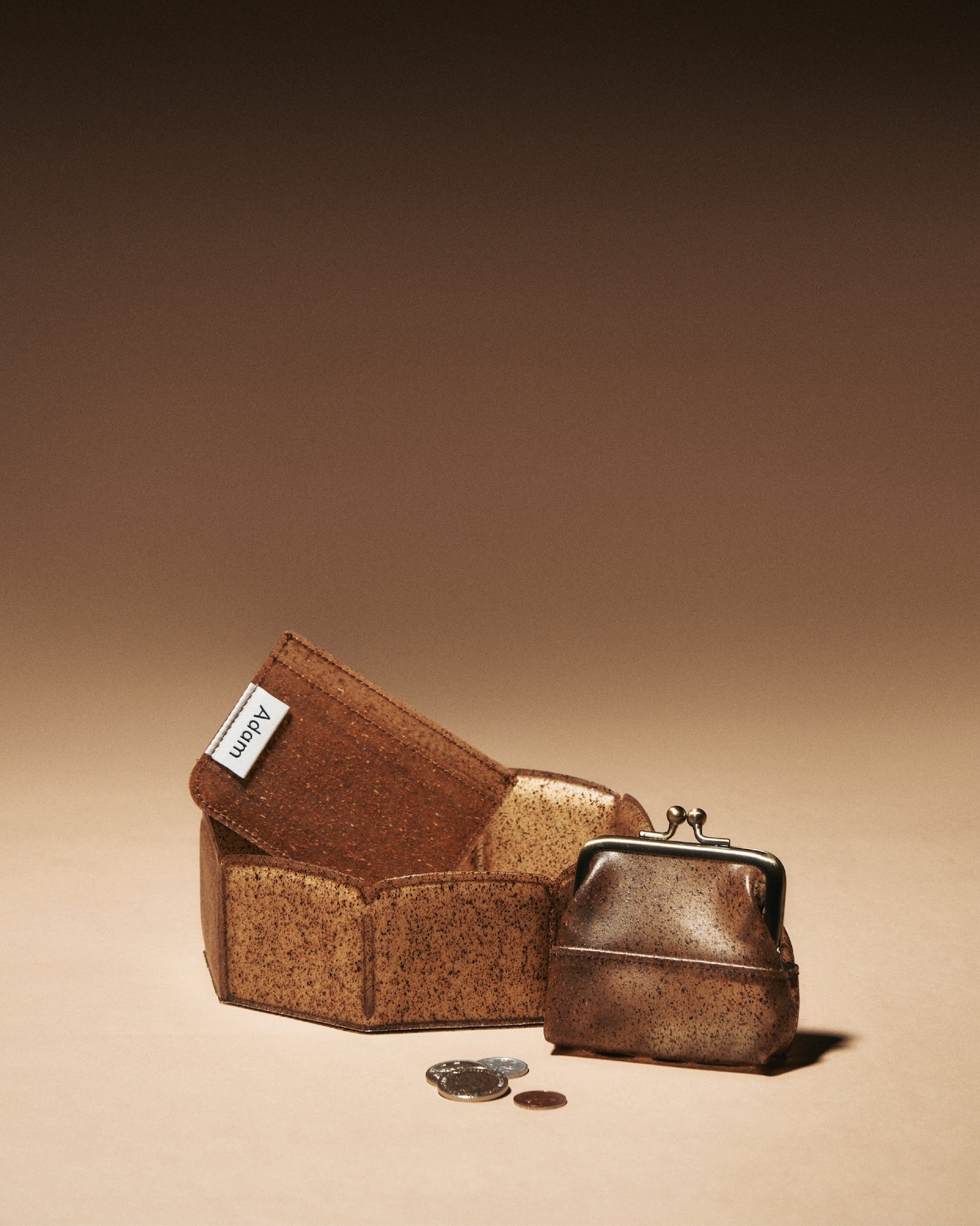 Adam Coin Case - CARRY THINGS