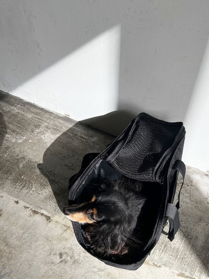 Pet Carrier Tote M - BLACK